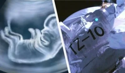 Sinopsis Project Newsletter. China and the World This Week: Breakthrough in Chips and Embryos in Space
